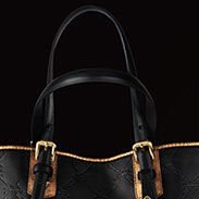 Visuel LM Collection Longchamp
