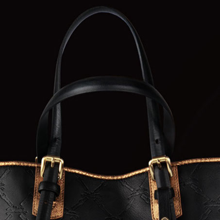 Visuel LM Collection Longchamp